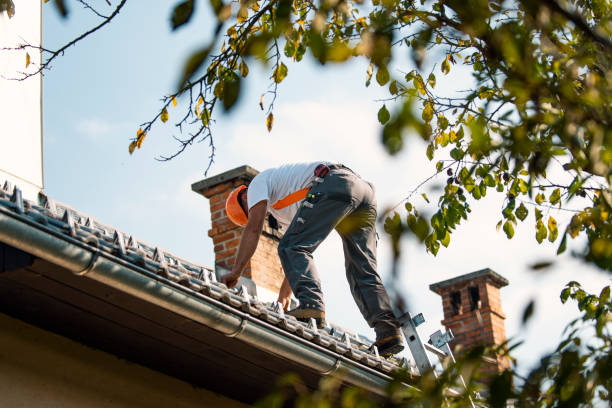 Best Shingle Roofing Installation  in Clinton, OK